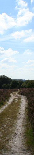 Holterberg